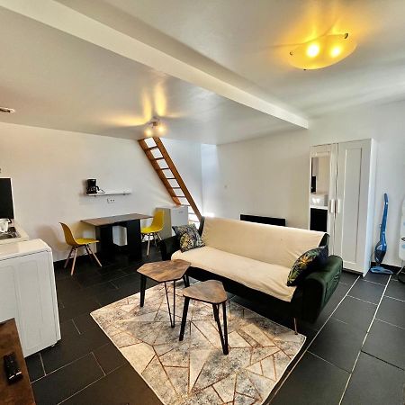 Studios Au Quartier Pavillonnaire Rue D Ambert Ορλεάνη Εξωτερικό φωτογραφία